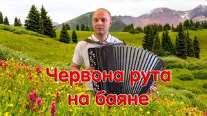 ЧЕРВОНА РУТА - НА БАЯНЕ