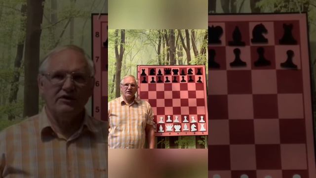 Мастер-класс: «Шахматы. Начало игры»