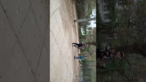 игра в стеклянный мост