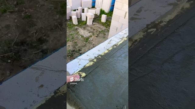 03-08-2024 смотреть онлайн