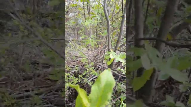 Вода ушла продолжение следует смотреть онлайн