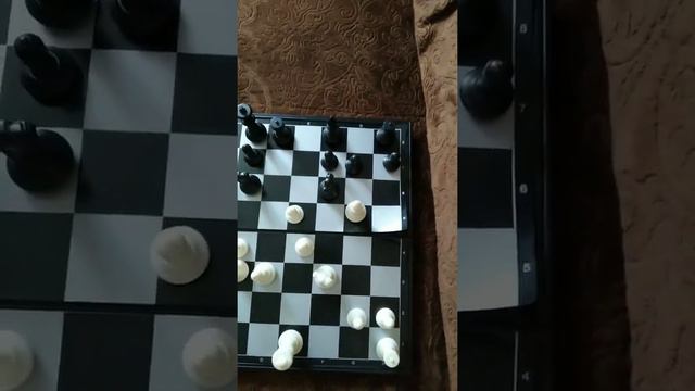Защита четырех пешек    #шахматы дома#дебюты в шахматах