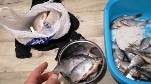 Как не пересолить рыбу при сухом посоле