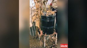 Измельчитель кукурузы. Изготовление измельчителя и дробилки в домашних условиях.