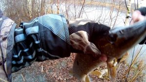 Весенняя щука на Tsuribito Dead Minnow 90F и Pontoon 21 Crackjack 58 SP-SR+ливень и снег!