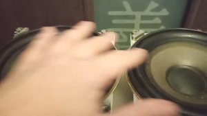 Динамики 25ГД-26В Электроника