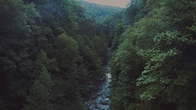 Музыка релакс, Звуки Лесного водопада Музыка для сна/Relax music Forest waterfall sounds Sleep musi смотреть онлайн