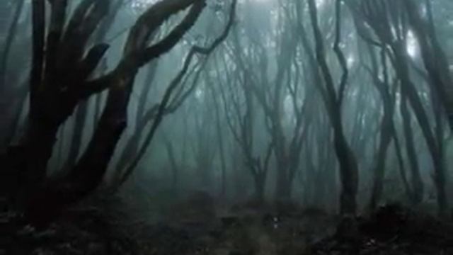 Rocktek Super Delay/Vox Pathfinder Rhythmic Loop смотреть онлайн