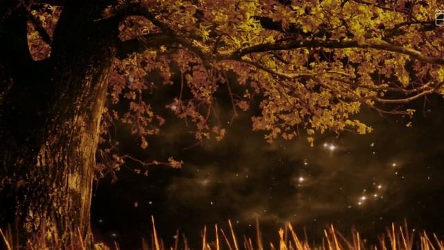 Married To My Billionaire Bestfriend (Chapter 5 - Mrs. Ava Valentino) Romantic Novel