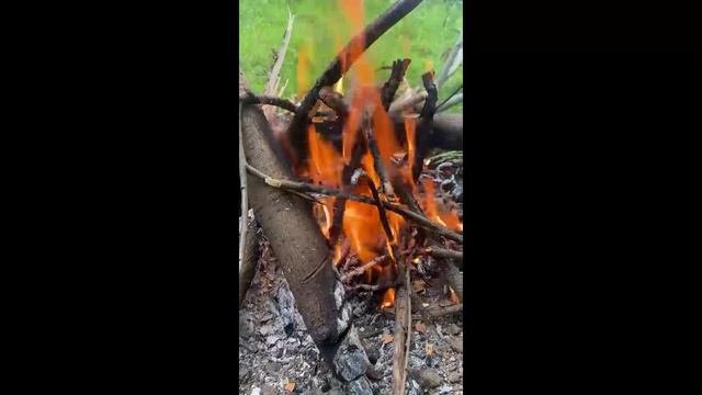 Час