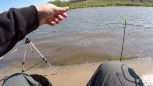 Штраф за рыбалку на реке Дон