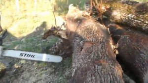 Бензопила STIHL MS 880