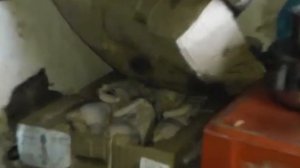 Подпольный цех по переработке мясной продукции