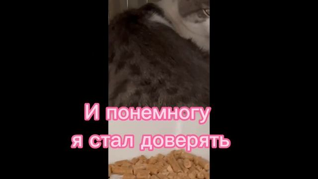 История Рокки смотреть онлайн
