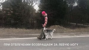 Первые Шаги в позиции рядом
