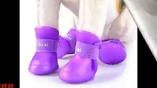 Обувь для маленьких собак своими руками смотреть онлайн