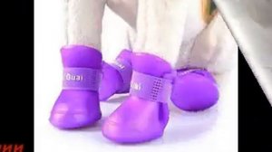 Обувь для маленьких собак своими руками
