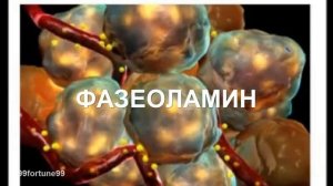 КАК ПОХУДЕТЬ НА ФАСОЛИ / ТАКОГО ВЫ НЕ ОЖИДАЛИ !