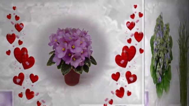 цветы смотреть онлайн