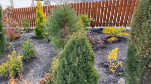 ГЕЛЕНДЖИК. ЗИМА НАС НЕ ОТПУСКАЕТ. 18.03.2022