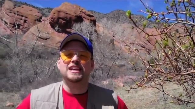 Бесплатные игры Майнкрафт на Русском смотреть онлайн