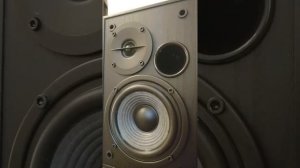 Edifier R1100 - Sound Test - Hall Of Mirrors (c) Bird Creek
