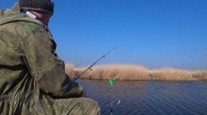 День краснопёрки. Рыбалка в Приморско-Ахтарске
