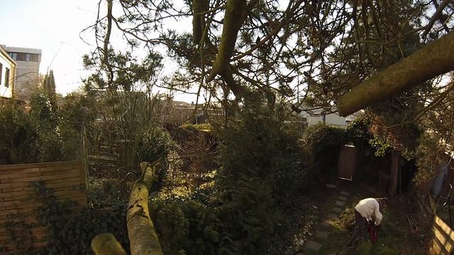 Produkttest | Testbericht | Anwendung | elektrische Heckenschere Bosch AHS 45-16 смотреть онлайн