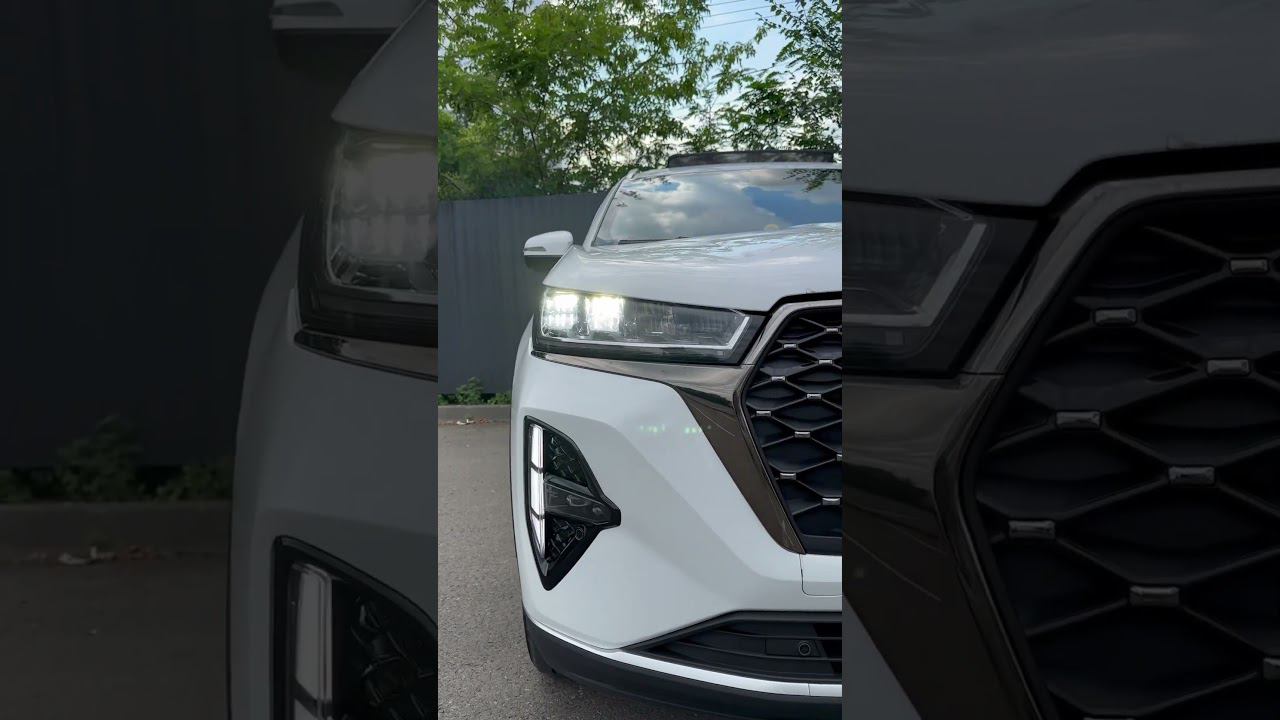 #automobile #car #cat #авто #мем #юмор смотреть онлайн