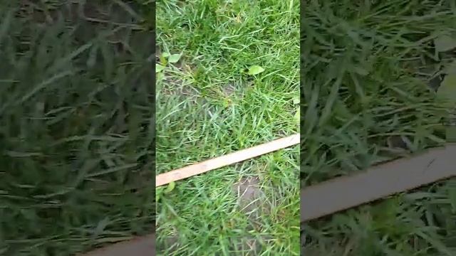 Крот STM (блок V3)) смотреть онлайн