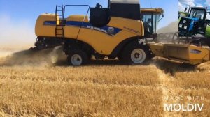 Уборка Пшеницы New Holland CX6090