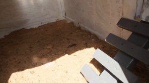 Курятник за пол года , своими руками. Что получилось )))