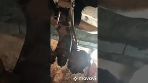Меняем ступичный подшипник на форд фокус 3. Как поменять ступичный подшипник на фокус 3