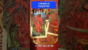 СЛЕЖКА В СОЦСЕТЯХ Гадание Таро Онлайн #shorts Светлана ВЕДА