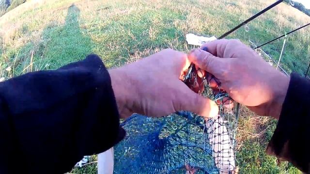 два часа клева смотреть онлайн