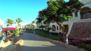 Charmillion Club Resort 5*, Sea Life 4*, Gardens Aqua Park 5* Отдых в Египте. Обзор отеля. Шарм
