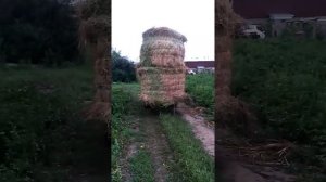 вилы для  рулона на тракторе т-25 (ВТЗ Владимерец)