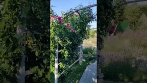 Дом на хуторе (гостиница), Дивногорье, Воронежская область, 21.07.2020