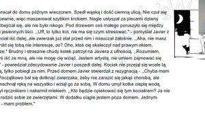 Польский язык.  Читаем текст на польском!