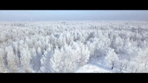 Электросталь, Юбилейный пруд, январь 2018