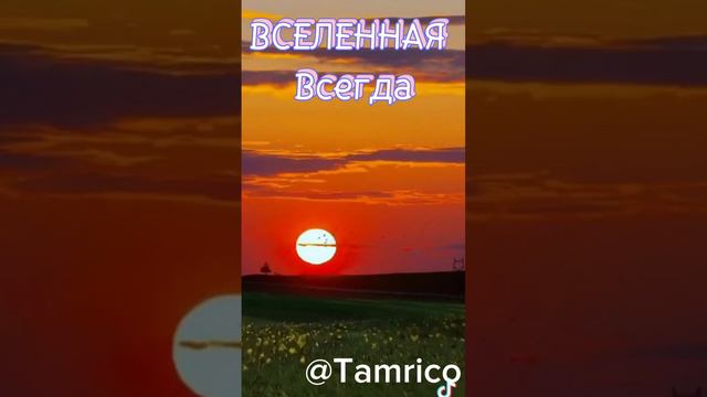 Вселенная всегда на твоей стороне!Смотрим !Подписывайтесь на мой канал в YouTube @Tamrico смотреть онлайн