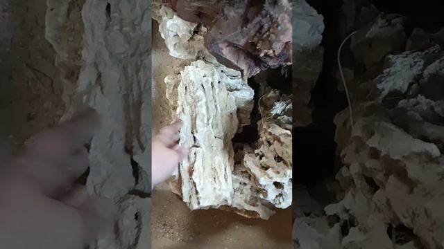 Рецепт оформления аквариума в стиле "Псевдоморе" - ЯРКОЕ "ПРАКТИЧЕСКИ МОРЕ" У ВАС ДОМА!