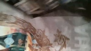 Unboxing gpu Asus Geforce gt630