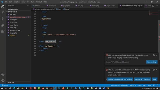 WordPress Developer مطور الووردبريس المتقدم page wp head wp footer the content смотреть онлайн