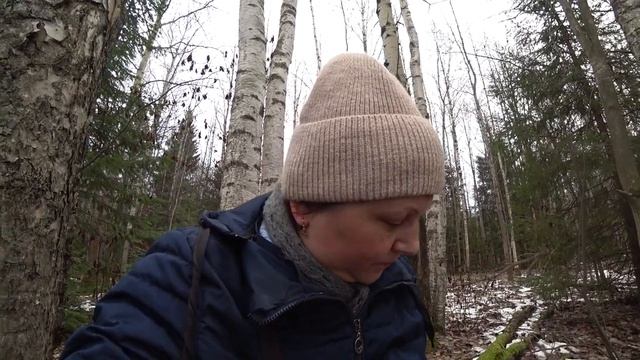 В лес с костром на ноябрьские праздники. Пермь. 5 ноября 2023 смотреть онлайн