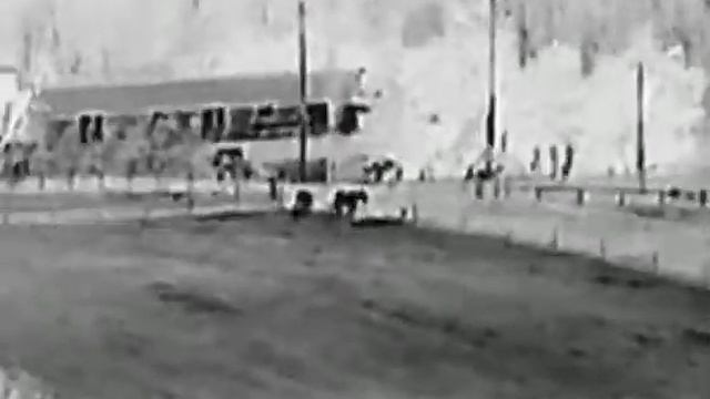 HIKMICRO lynx pro lh25, koně cca 500m, pes cca 250-300m horses and dog 18.3.2021 смотреть онлайн