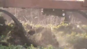 Трактор Агромаш 60ТК с самодельным культиватором