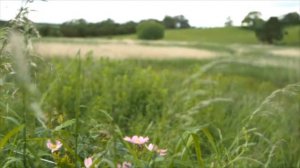 Towpath Talk: Launch of The Canal and River Trust