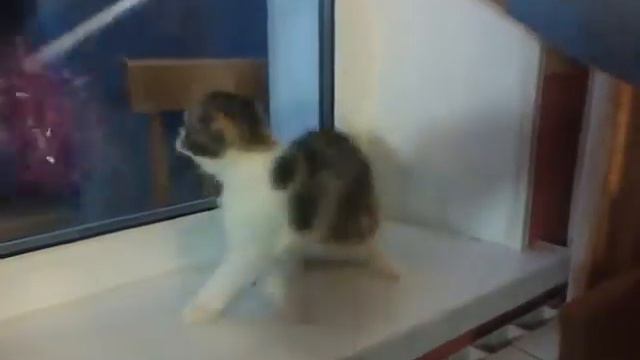 Filand*RUS Fairy смотреть онлайн