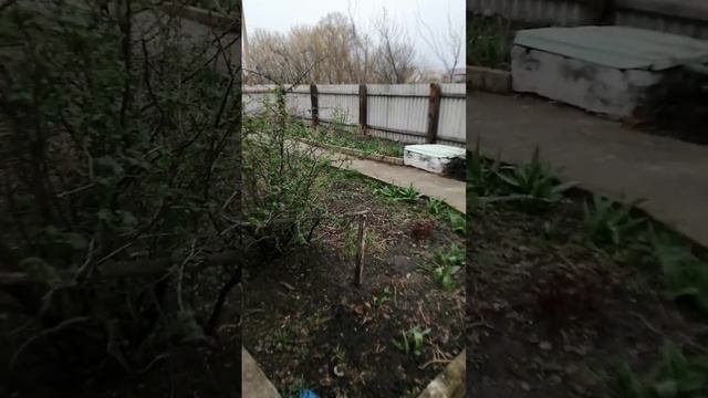 Нижний Икорец. Воронежская область. Утро. Мы приехали ? #нижнийикорец #воронежскаяобласть